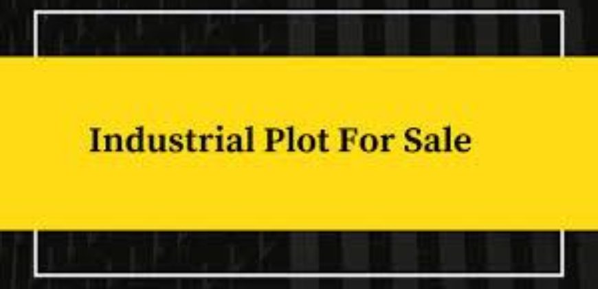 15600 Sqft Industrial plot for sale in manjusar.