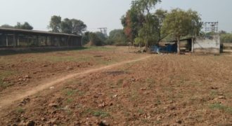 155000 Sqft Agriculture land For Sale In Padra.